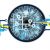 Cloud Computing in Business Scalability